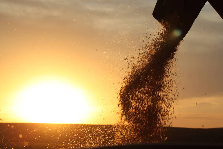 Prejuízos no RS sobem para R$ 10 bi; no agro, perdas somam R$ 2,53 bi