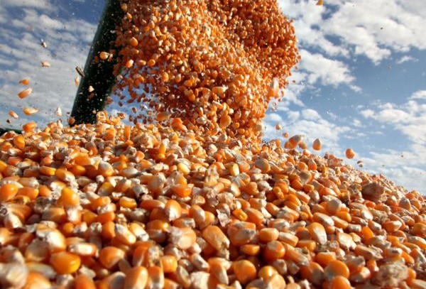 Falta de estratégia governamental é entrave para expansão global do agro