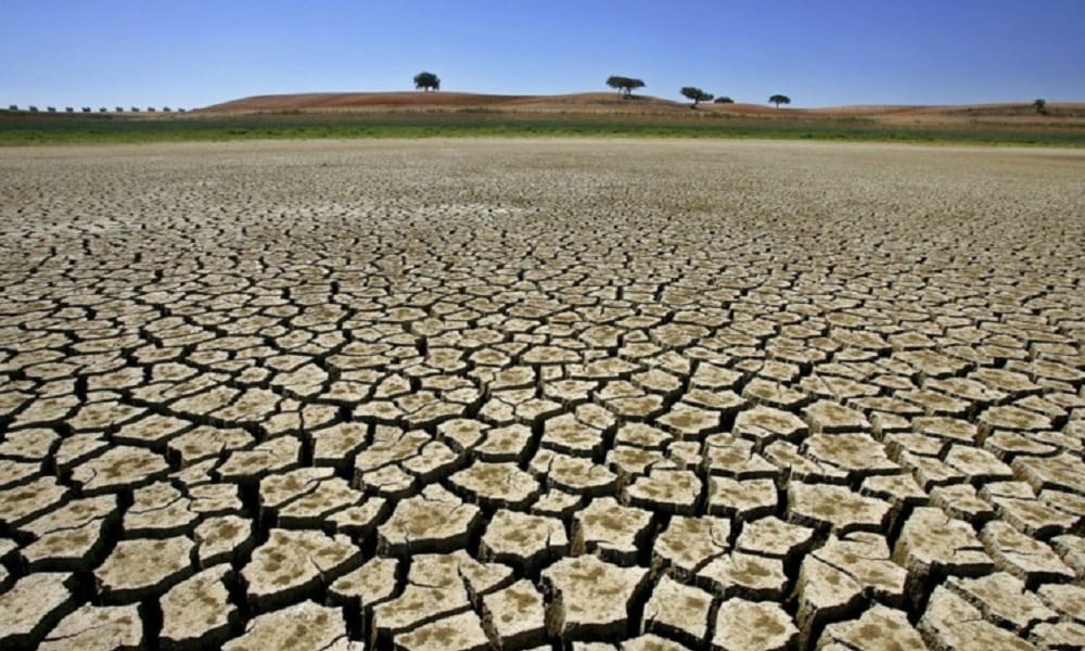 Seca e calor ameaçam plantio da soja no Centro-Oeste