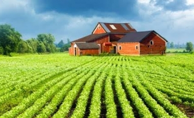 Momento para Trump taxar agro é péssimo para os EUA