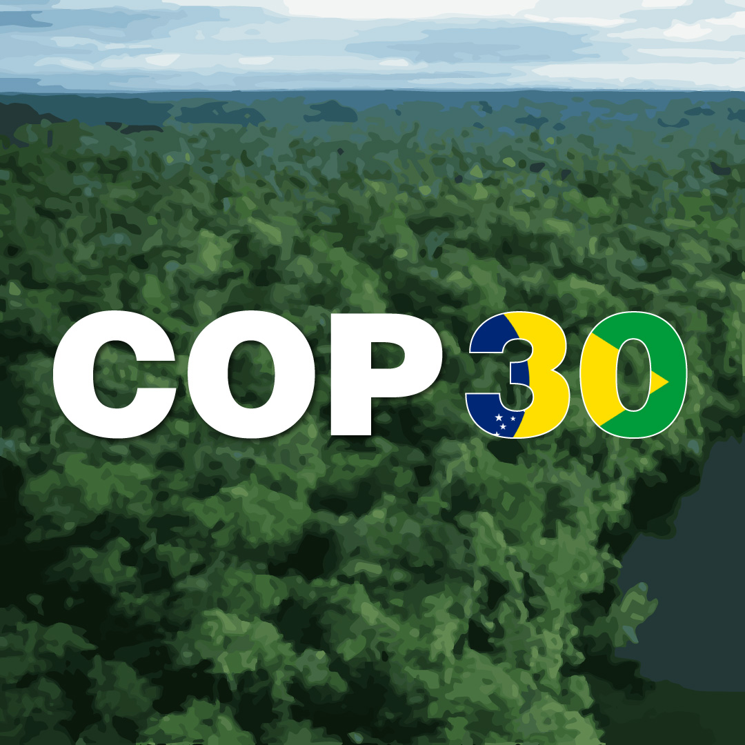 COP-30: o que queremos?