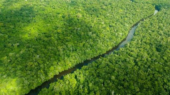 Comissão de Agricultura pode derrubar demarcações de terras indígenas