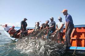 Pesquisa inédita mapeia áreas disponíveis para pesca no Paraná