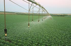 Agricultores: protagonistas da gestão hídrica frente às mudanças climáticas