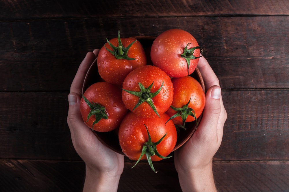 Agricultores devem ficar em alerta com os perigos da requeima em cultivos da batata e do tomate