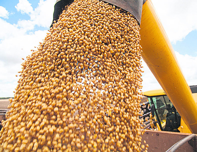 Superávit da balança do agro paulista cresce 9,4% no 1º semestre