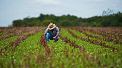 Curso Técnico Gratuito em Agropecuária