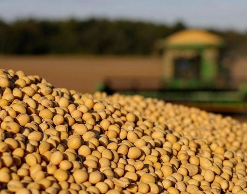 FENASOJA 2024: Grandes personalidades do agronegócio estarão no “Café do Centenário da Soja”