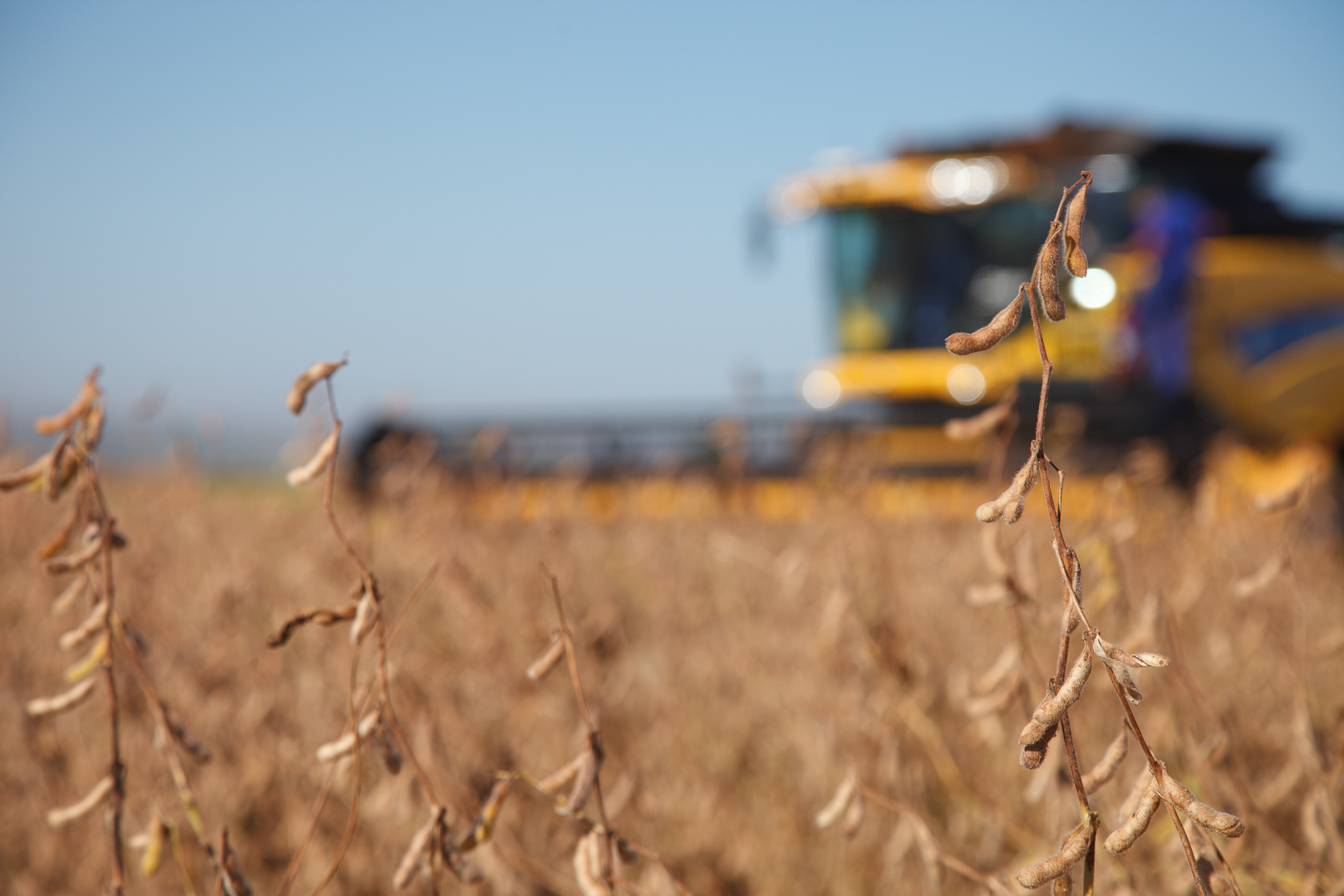 Não consegui produzir e não vou conseguir pagar as parcelas do financiamento da máquina agrícola. O que devo fazer?