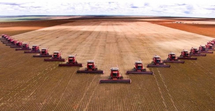 Mais um recorde no campo