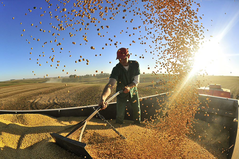 Agronegócio brasileiro é importante para o G20 reduzir a fome no mundo