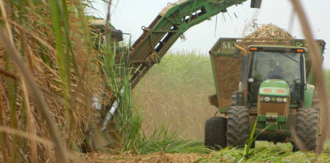 Stonex eleva previsão de moagem de cana do Centro-Sul em 25/26