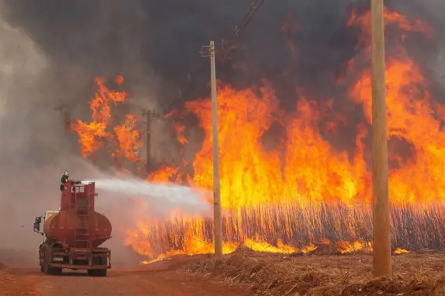 PF investiga 52 incêndios no Brasil, mas não vê ação orquestrada até agora