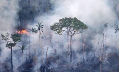 Aumenta para nove o número de cidades com focos ativos de incêndio em SP