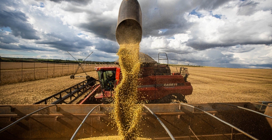 Safra 24/25: Biond Agro aponta margens apertadas e clima imprevisível freando expansão da área de soja no Brasil