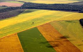 Chuvas beneficiam Centro-Sul do país com precipitação acima da média no Mato Grosso do Sul, destaca EarthDaily Agro