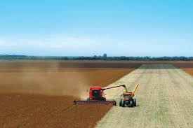 Clima e custo de produção seguem como desafios no campo