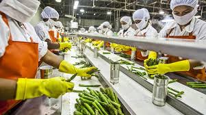 Pesquisadores debatem a produção de alimentos em ambientes controlados e os sistemas alimentares do futuro na EuroTier 2024