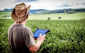 Agricultores franceses voltam às ruas para protestar contra acordo