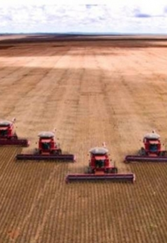 IBGE prevê safra menor neste ano, mas Conab ainda estima volume recorde