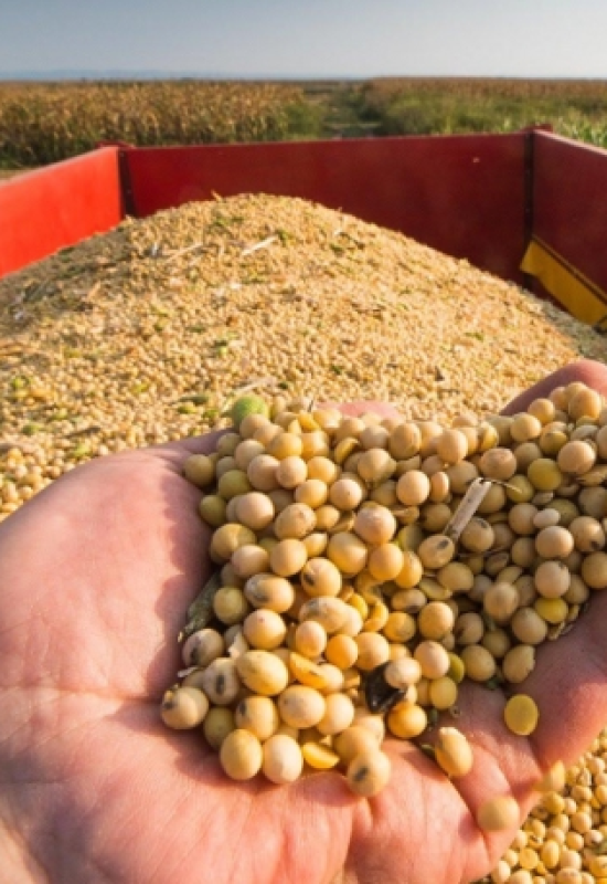 Conab vê nova safra recorde em 2026/27, com alta na soja e queda no arroz