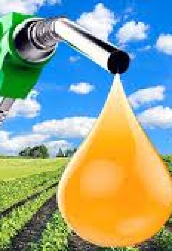Aumento da mistura de biodiesel não é prioridade do governo, afirma Fávaro