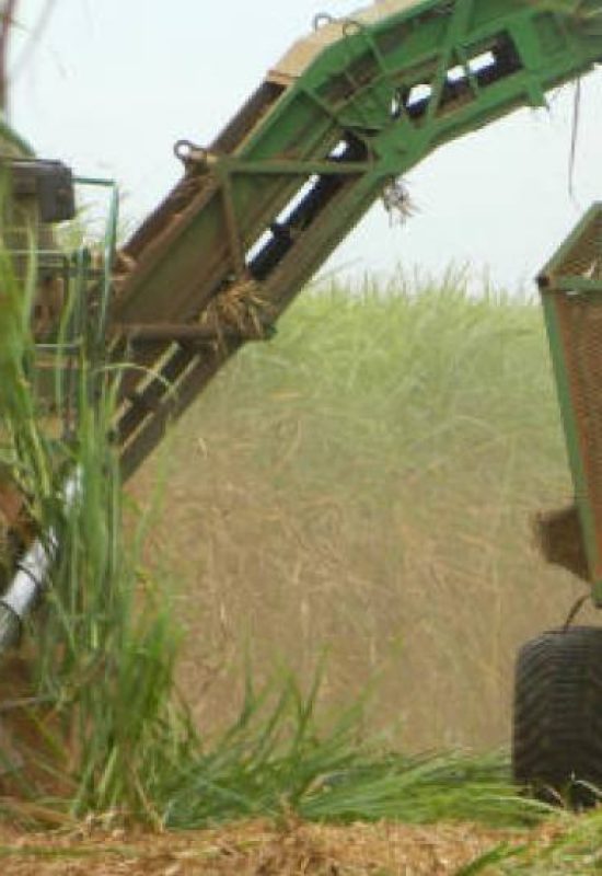 Vendas de etanol continuam em alta e agosto registra recorde histórico