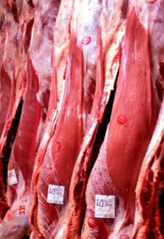 UE descarta previsão para fim do veto à carne e cita ciclo animal