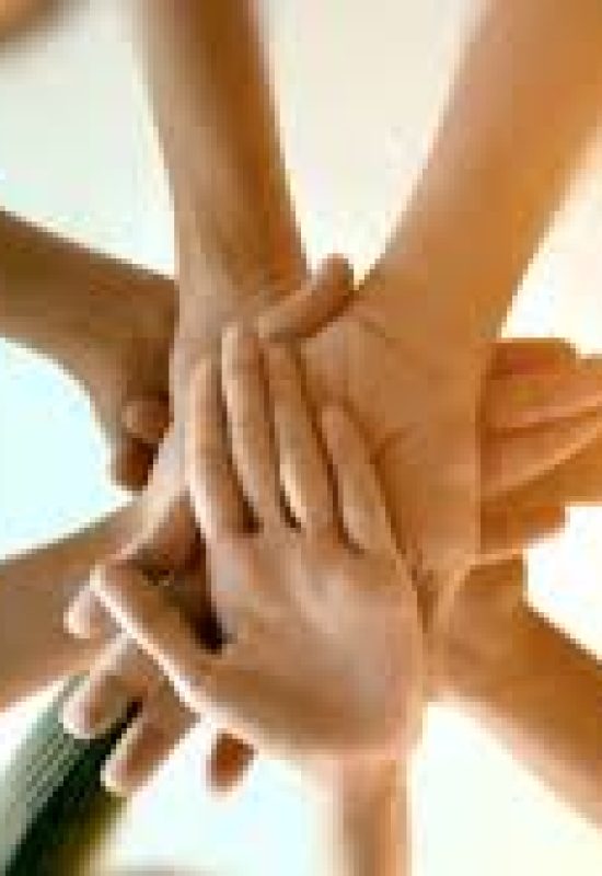 Cooperativas brasileiras elencam prioridades para o agro em 2026