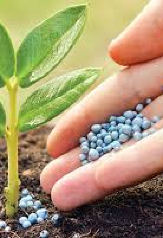 CNA pede zerar taxa de frete marítimo para conter alta dos fertilizantes