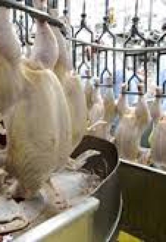 Delegação da UE no País prevê retomada de compras de frango no fim de 2026