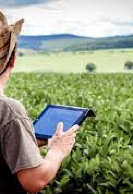 IA ajuda a detectar pragas em lavouras e controlar cabeças de gado