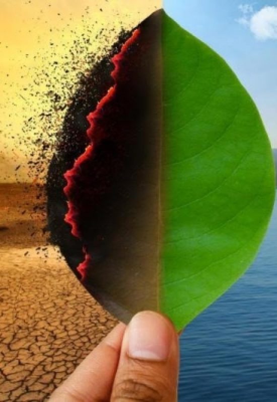 Governo Lula lança plano para reduzir emissões