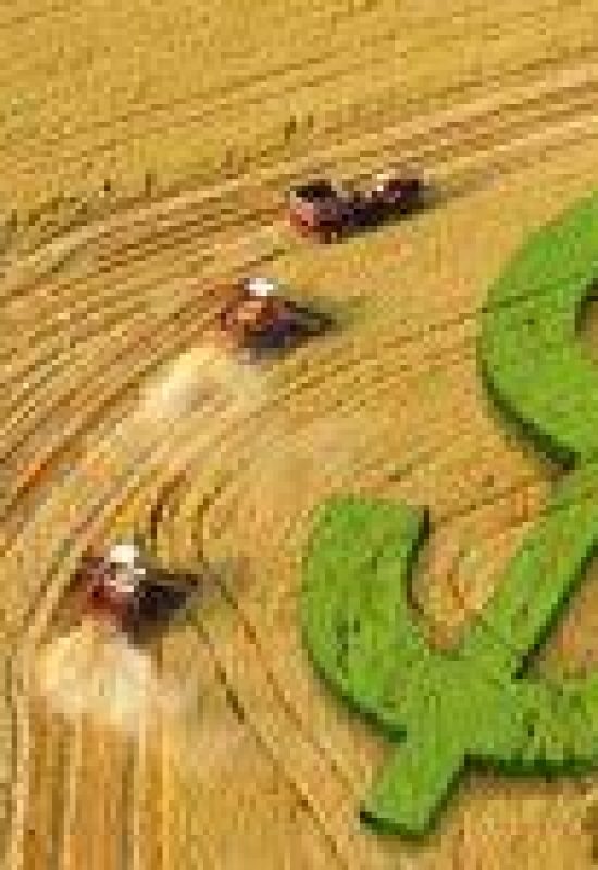 Concessão de crédito rural recua 13% até fevereiro