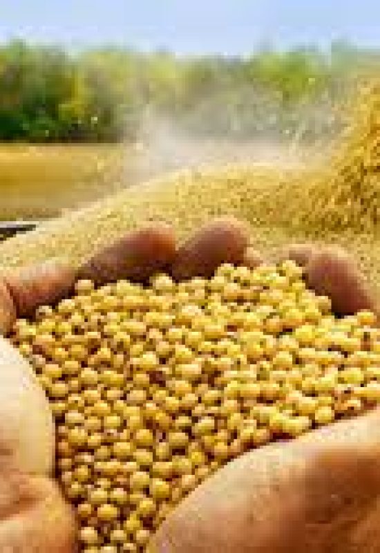 Lucas do Rio Verde: município que mais cresce no Brasil se consolida como vitrine do agro durante o Show Safra Mato Grosso