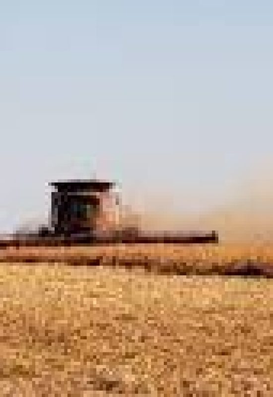 Produtores e entidades do agro alertam para falta de diesel no Paraná