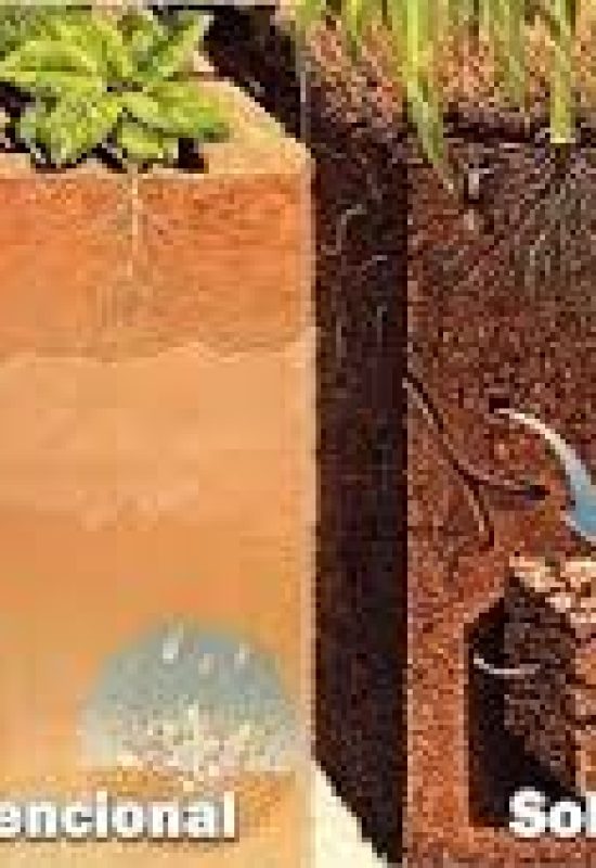 Geotecnologia usada no redimensionamento de terraços favorece a conservação do solo 