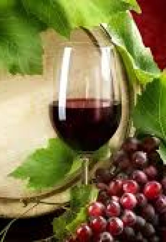 Clima favorável no Sul eleva qualidade da uva e promete bom vinho